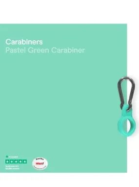 Chilly's Water Bottle Carabiner Pastel Green CBCARPAGRN