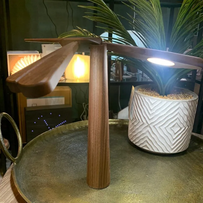 Dragonflight Balance Light