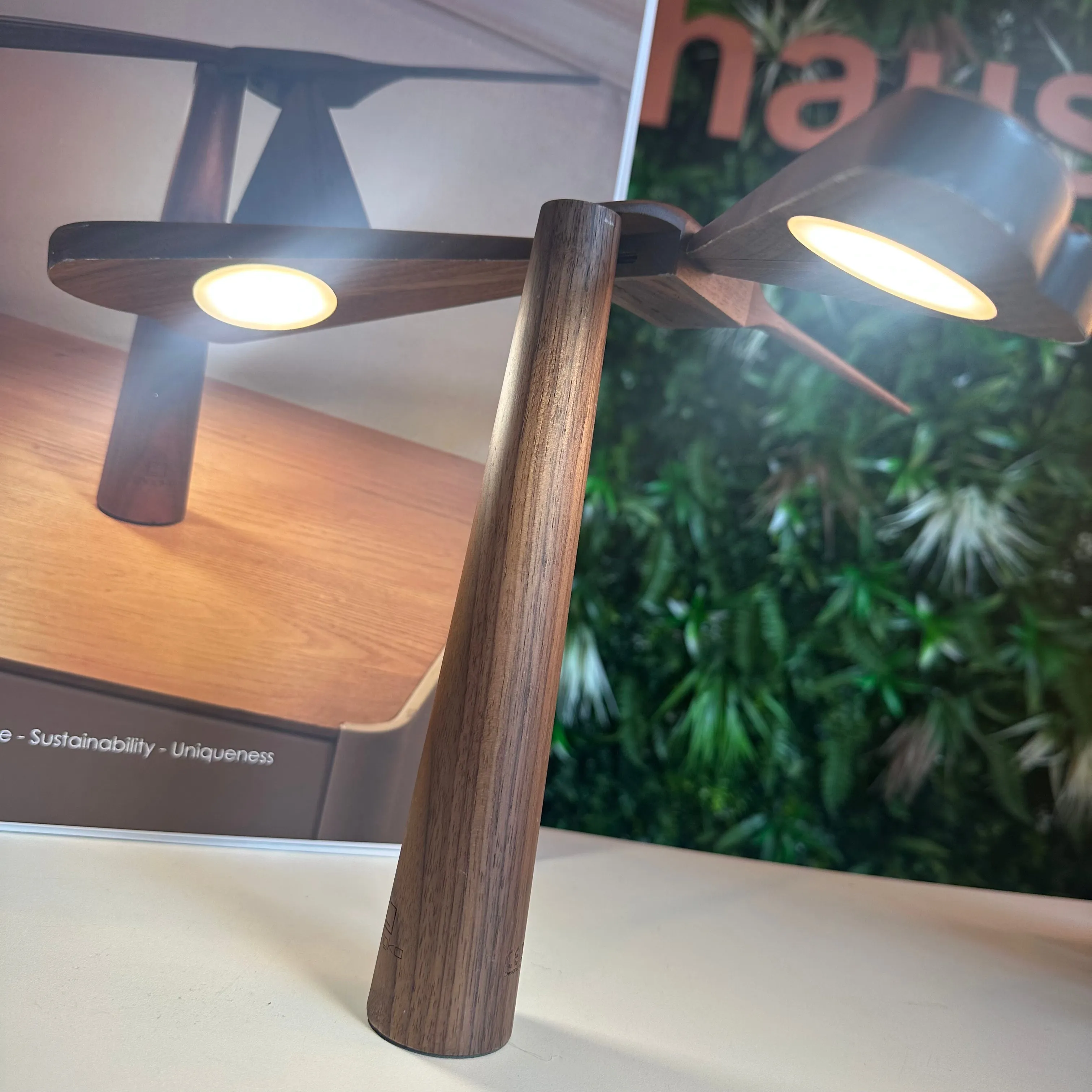 Dragonflight Balance Light
