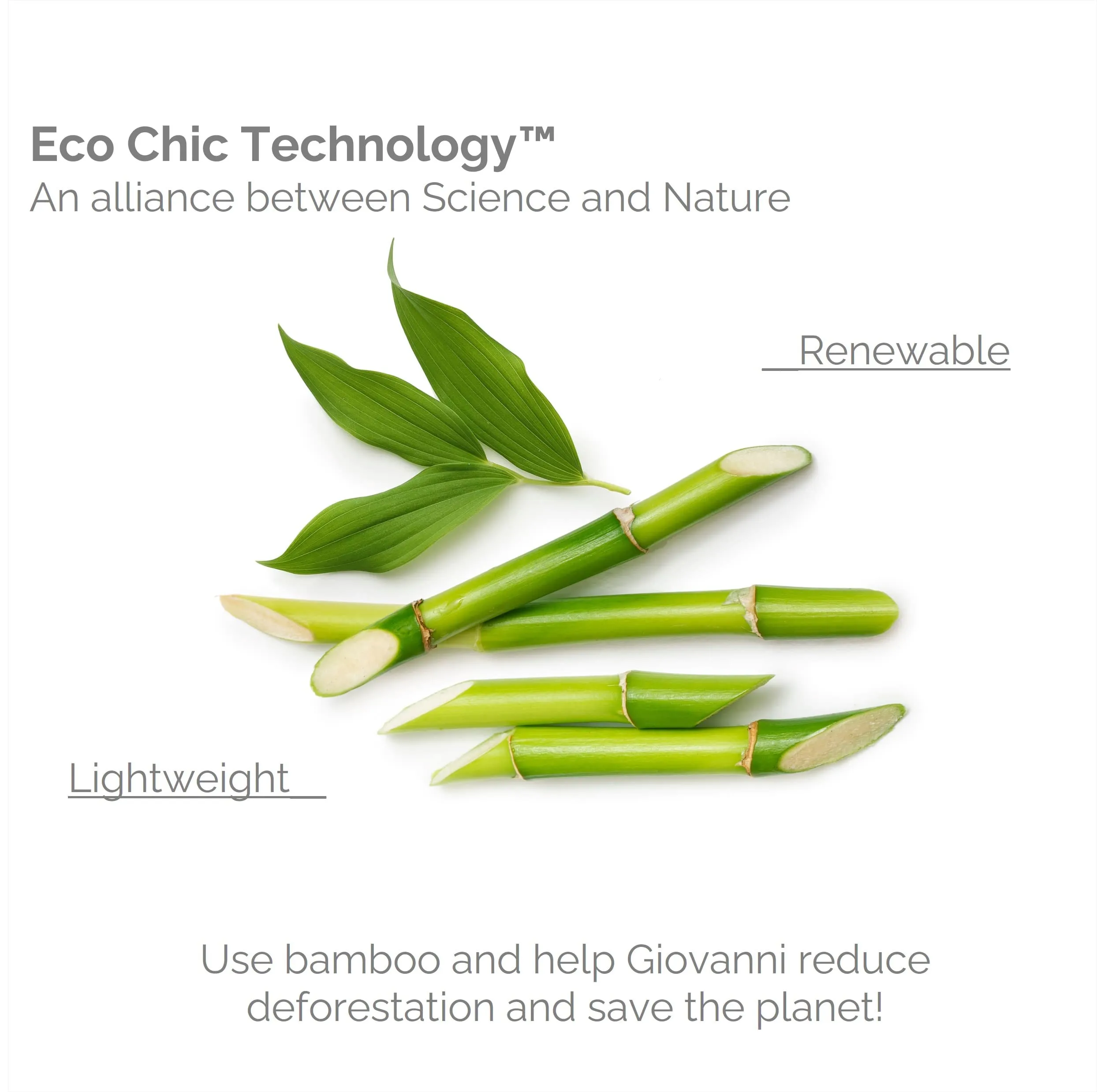 Giovanni Bamboo Hairbrush Eco-Friendly Daily Detangling Tool