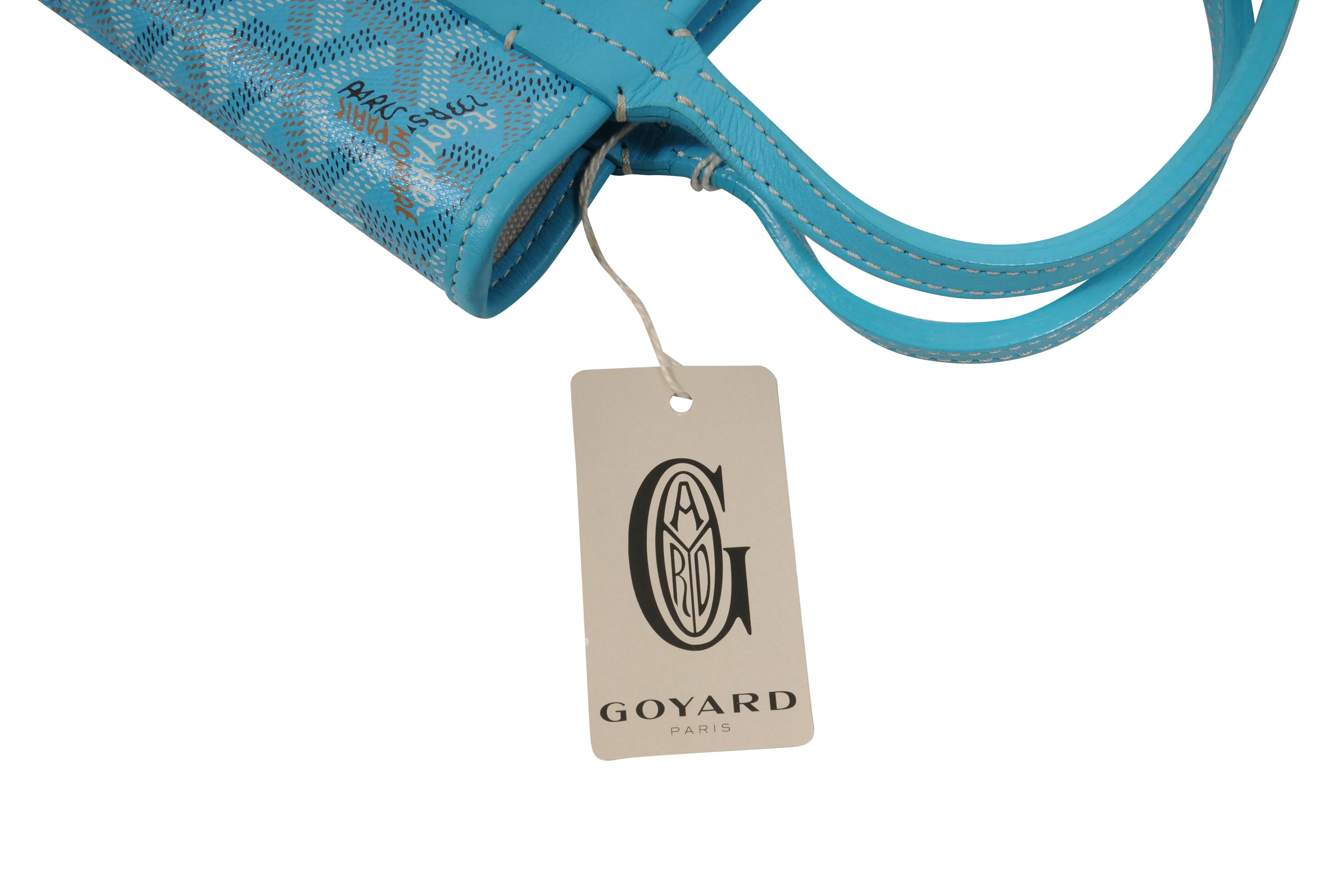 Limited Edition Turquoise Poitier Mini Tote Bag